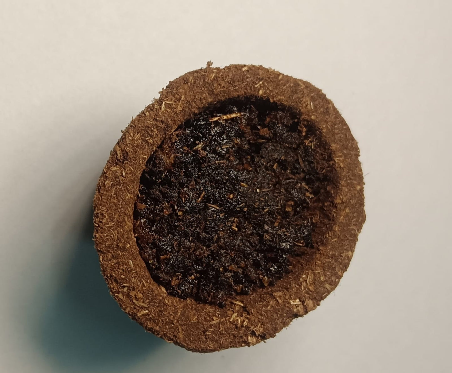 Maa Sanstha Herbal Cow Dung Havan Cup 1pcs | Natural Sambrani Cup | Pooja & Hawan Essential