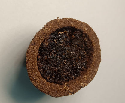 Maa Sanstha Herbal Cow Dung Havan Cup 1pcs | Natural Sambrani Cup | Pooja & Hawan Essential